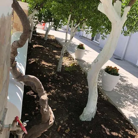 Apartamento Chrysanthi's *